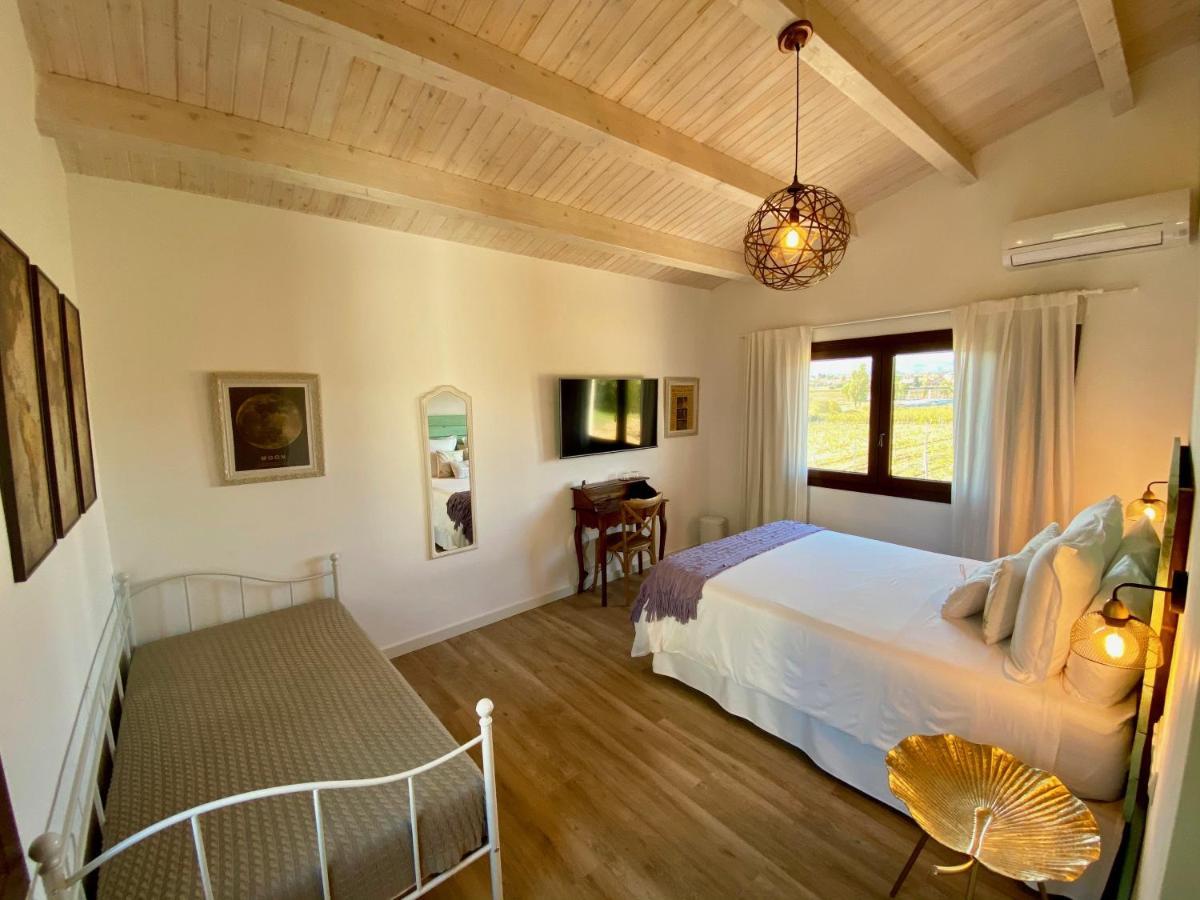 Bed & Breakfast Wine & Cooking Penedes Pla del Panadés Eksteriør billede