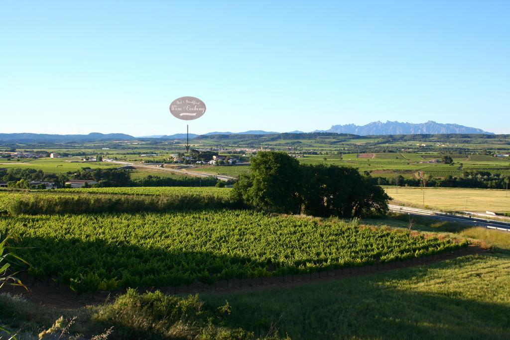 Bed & Breakfast Wine & Cooking Penedes Pla del Panadés Eksteriør billede